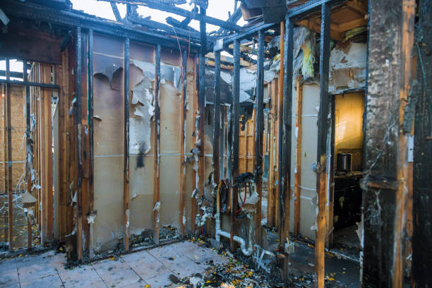 Professional Fire Damage Removal technician working in Lindstrom, MN